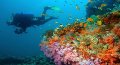 Доминикана по праву считается одним из лучших мест в мире для дайвинга. Богатый подводный мир заставляет ехать сюда дайверов со всего мира.